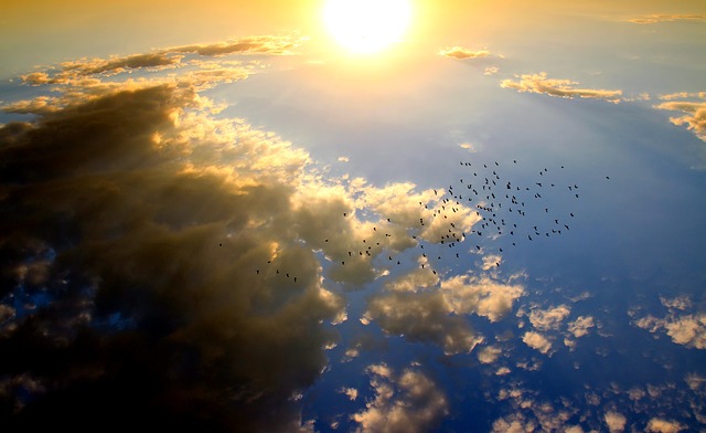 Sunset with clouds and birds