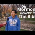 Basic Mormon Beliefs