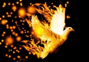 dove in fire